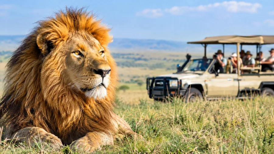 Masai Mara Safari Cost, Prices and Park Fees