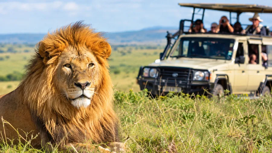 Masai Mara Safari Packages and Tour Itineraries