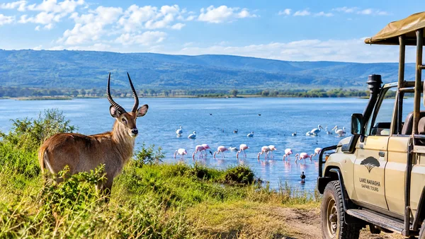 Lake Naivasha