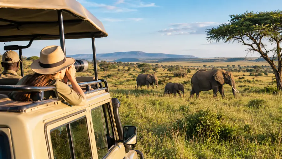 Visiting Masai Mara National Reserve: Travel Planning and Photos